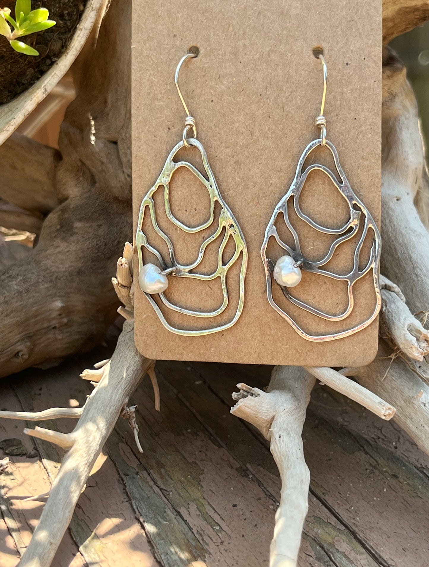 Oyster Earrings