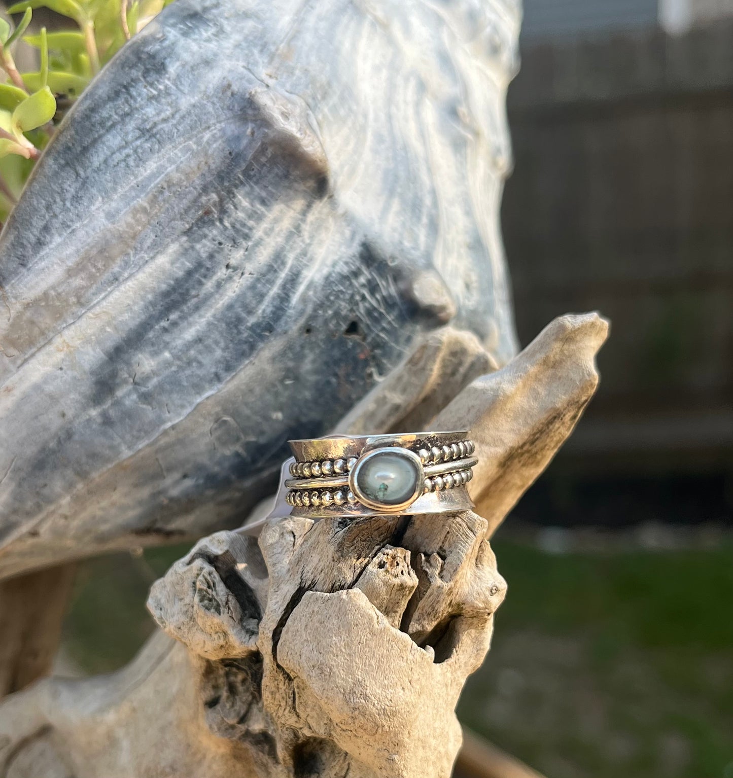 Spinner Ring