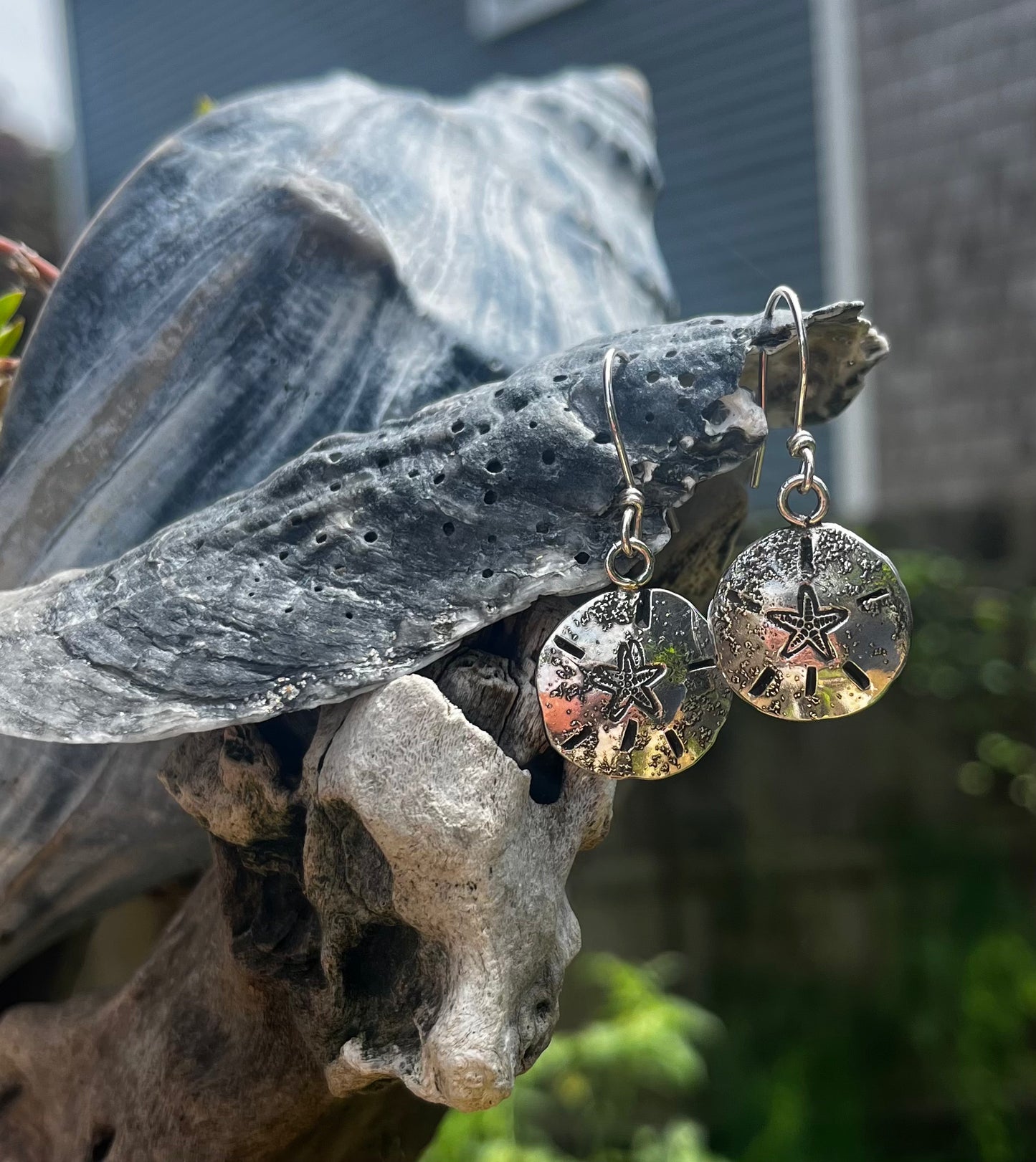 Sand Dollar Earrings